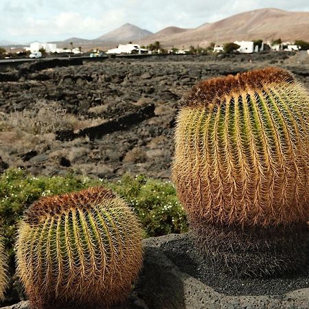 Casa Layka, Con Maravillosas Vistas Al Mar La Asomada  Eksteriør billede