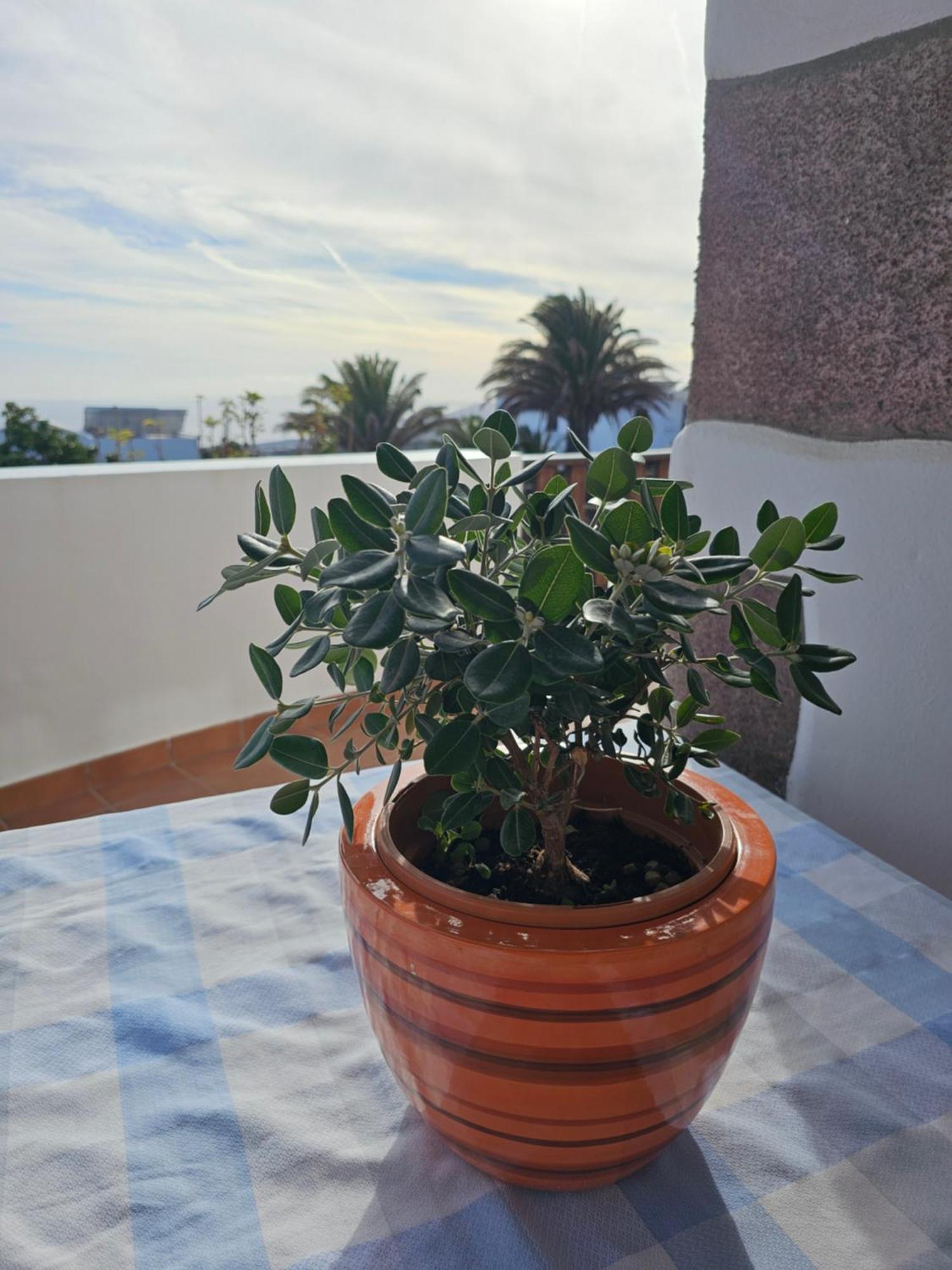Casa Layka, Con Maravillosas Vistas Al Mar La Asomada  Eksteriør billede